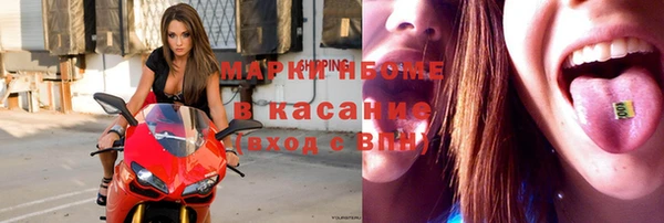 индика Кострома