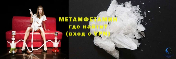 индика Кострома
