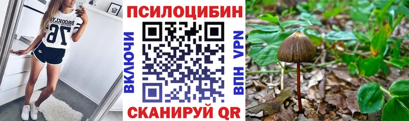 Галлюциногенные грибы GOLDEN TEACHER Кинель
